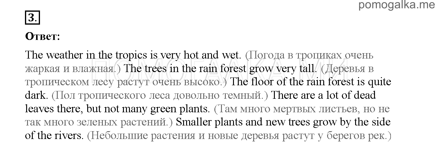 Часть 1. Страница 34-41. 5. What do you know about rain forests?. Задание №3 — решение 1
