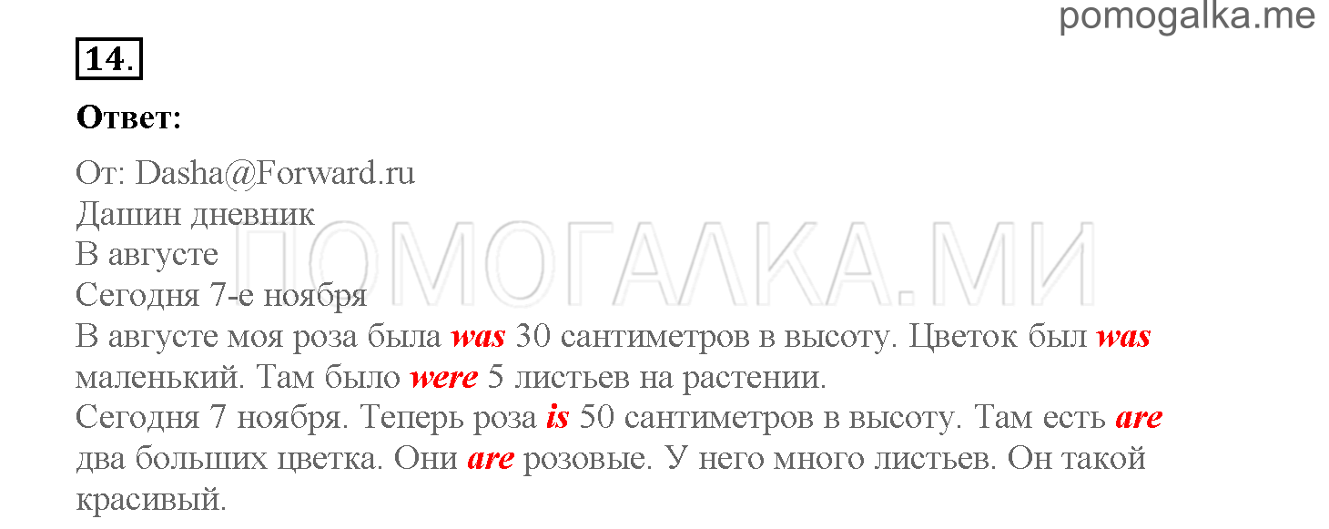 Часть 1. Страница 34-41. 5. What do you know about rain forests?. Задание №14 — решение 1