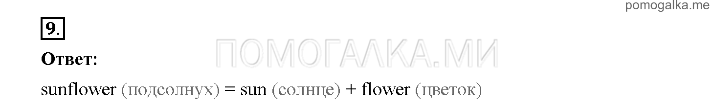 Часть 1. Страница 34-41. 5. What do you know about rain forests?. Задание №9 — решение 1
