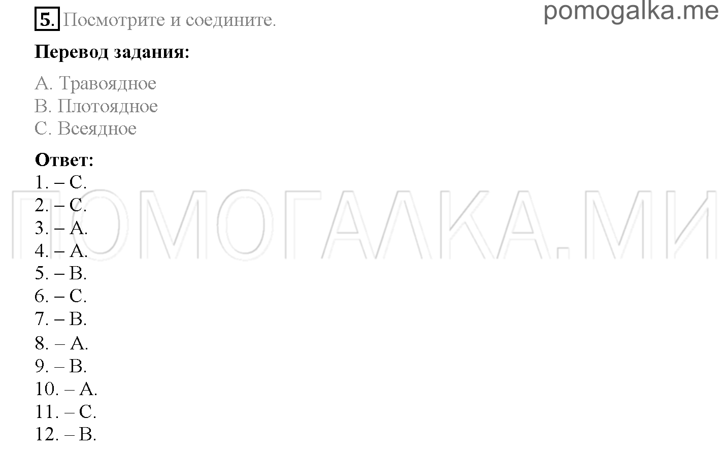 Module 4. At The Zoo!. Страница 64-65. 8b. Задание №5 — решение 1