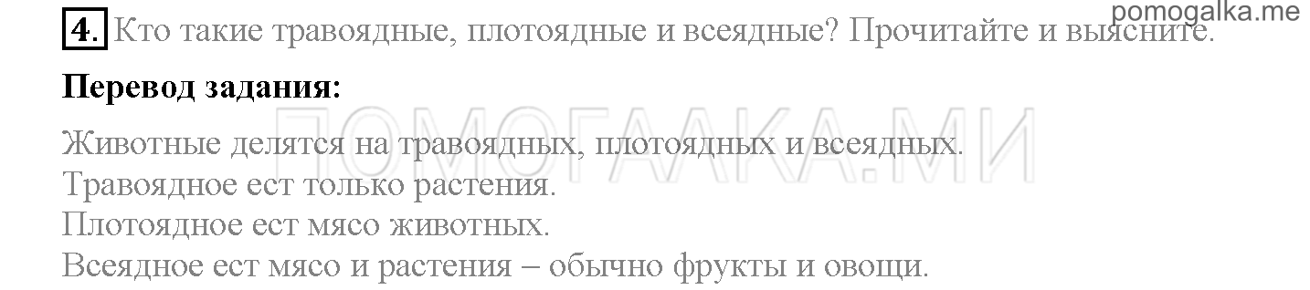 Module 4. At The Zoo!. Страница 64-65. 8b. Задание №4 — решение 1