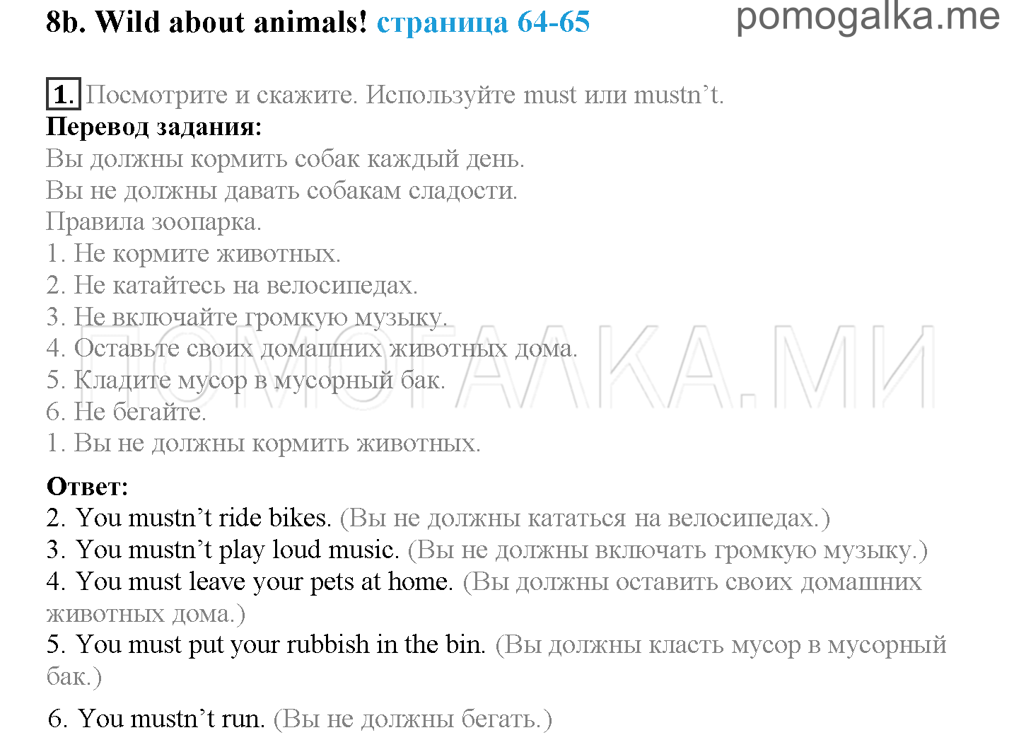 Module 4. At The Zoo!. Страница 64-65. 8b. Задание №1 — решение 1