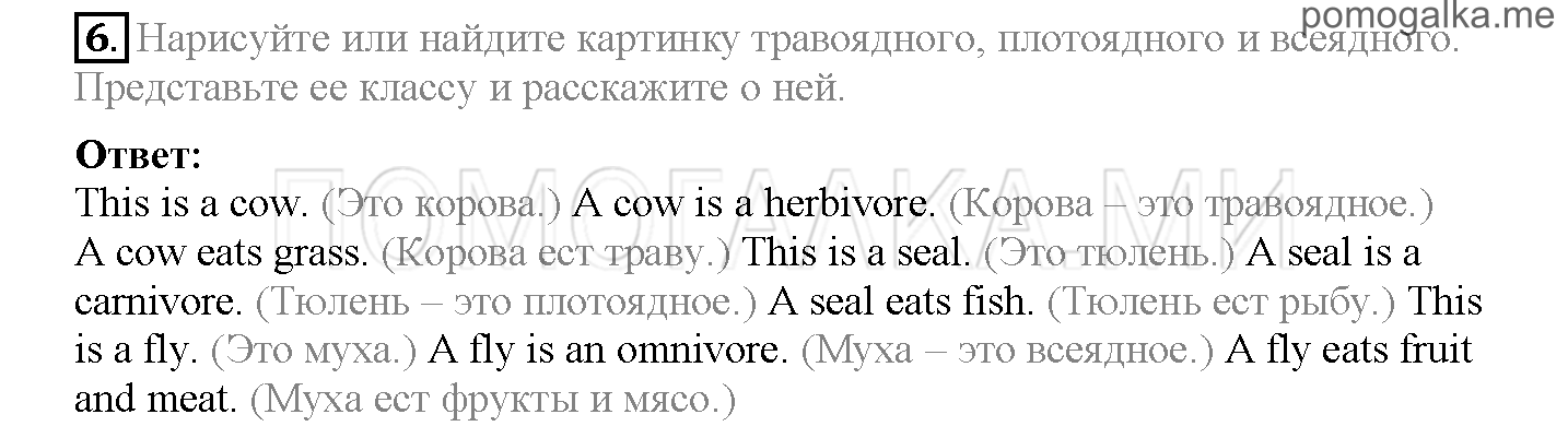 Module 4. At The Zoo!. Страница 64-65. 8b. Задание №6 — решение 1