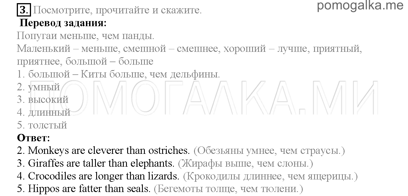 Module 4. At The Zoo!. Страница 62-63. 8a. Wild about animals!. Задание №3 — решение 1
