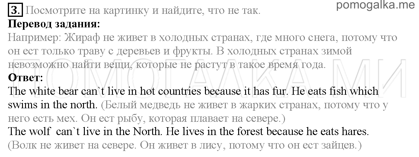 Часть 1. Страница 18-21. Lesson 5. Animals. Задание №3 — решение 1