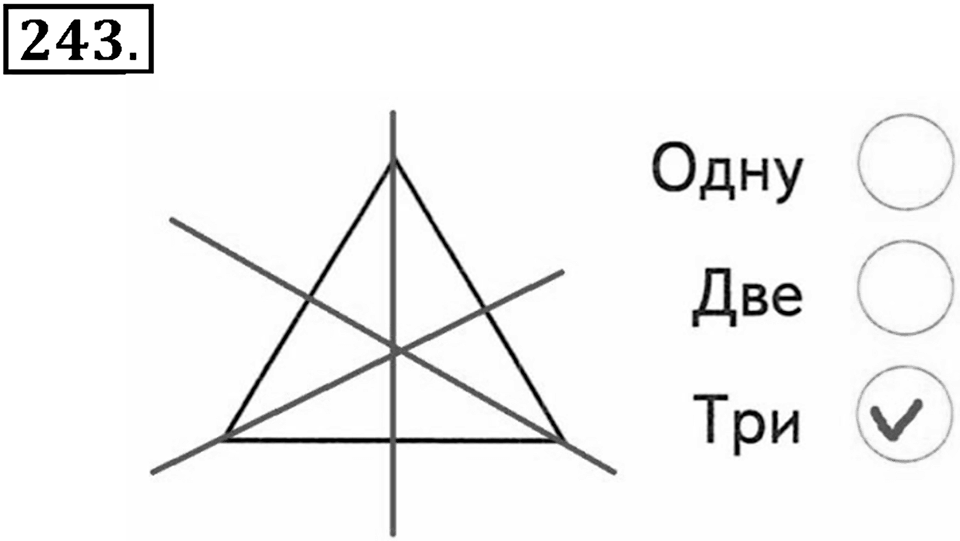 Часть 2. Страница 80-81. Виды треугольников. Номер №243 — решение 1