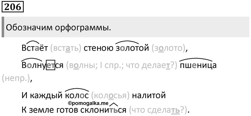 Упражнение 206 — решение 1