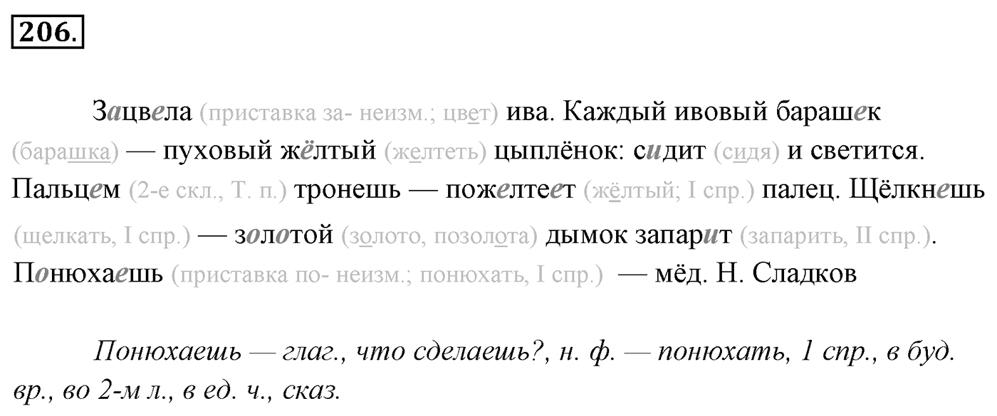 Упражнение 206 — решение 3
