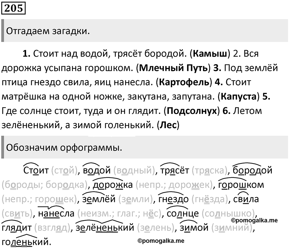 Упражнение №205 — решение 1