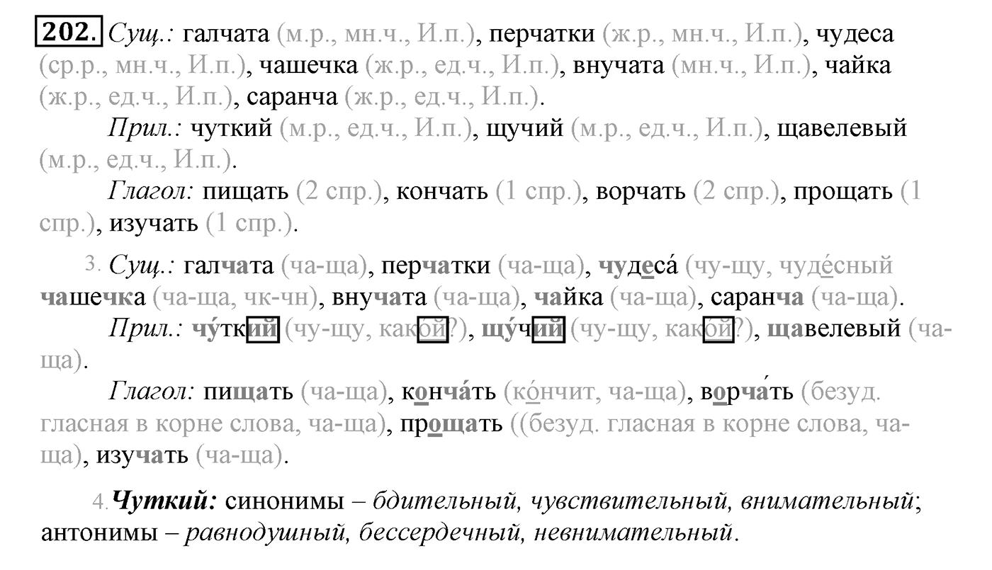 Упражнение №202 — решение 2