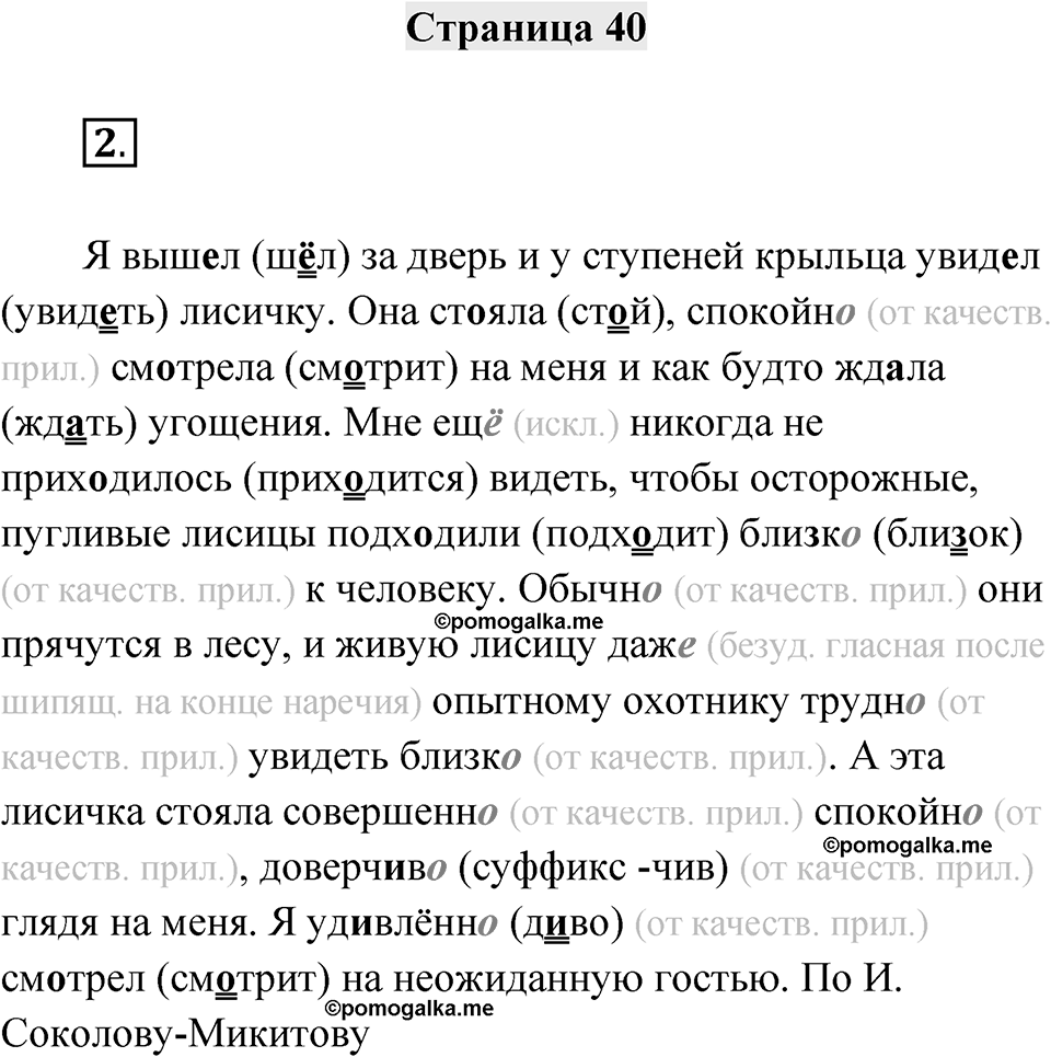 Страница 40 — решение 1
