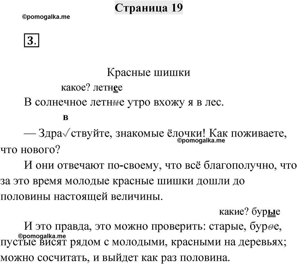 Страница 19 — решение 1