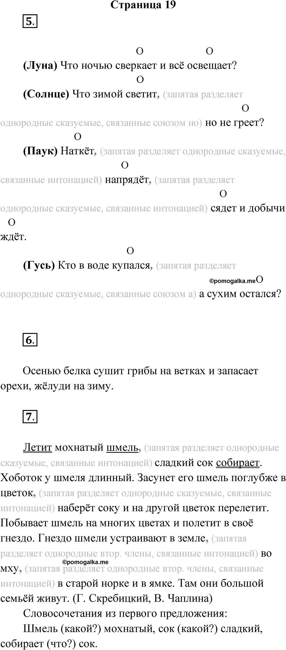 Страница 19 — решение 1