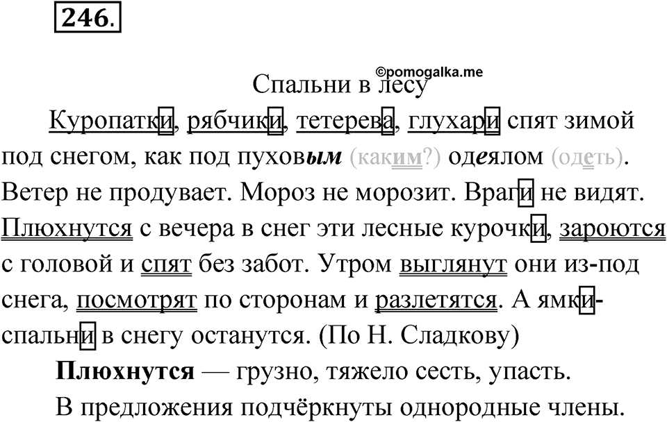 Упражнение №246 — решение 1