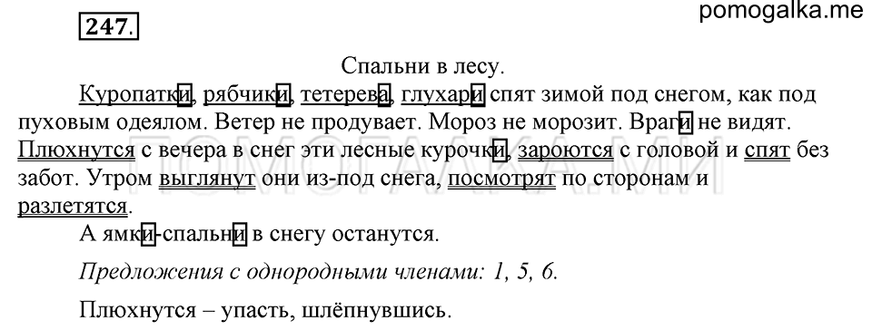 Упражнение №247 — решение 2