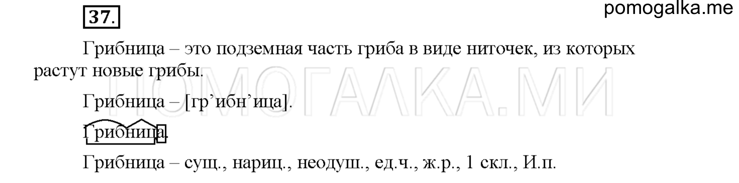 Упражнение №37 — решение 1