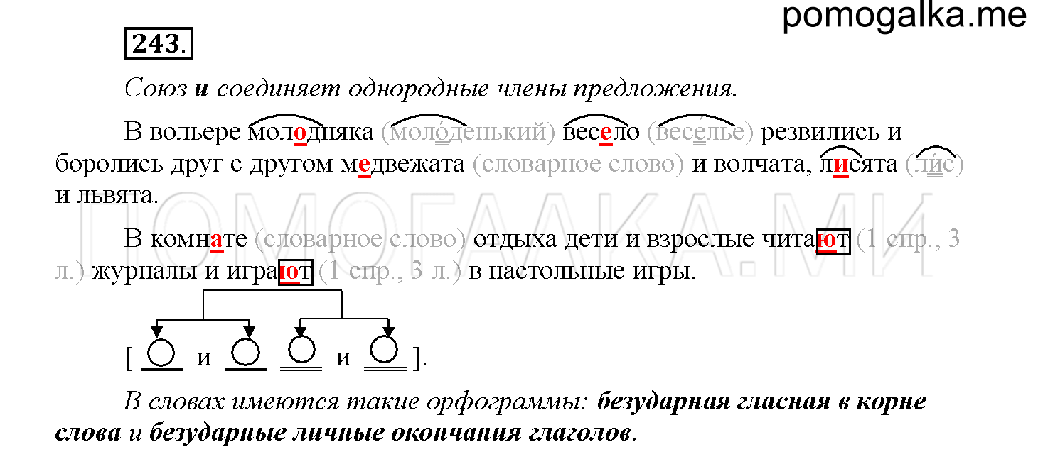 Упражнение №243 — решение 1