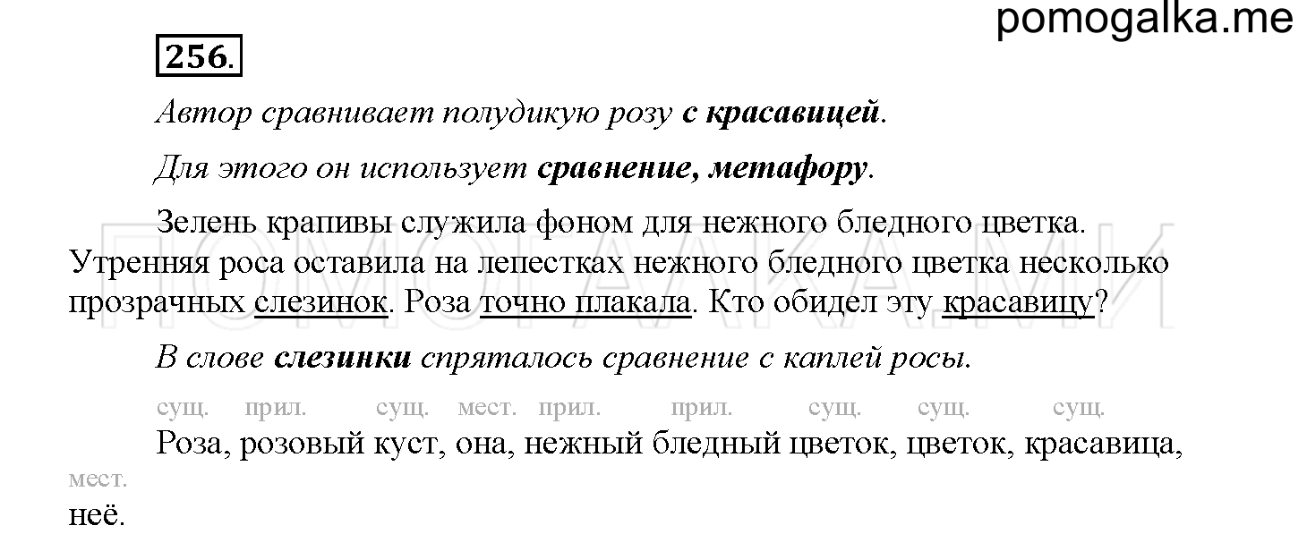 Упражнение №256 — решение 1