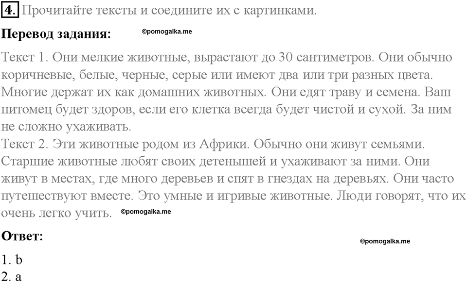 Unit 4. After School. Страница 35-40. Step 8. Round-up. Задание №4 — решение 1