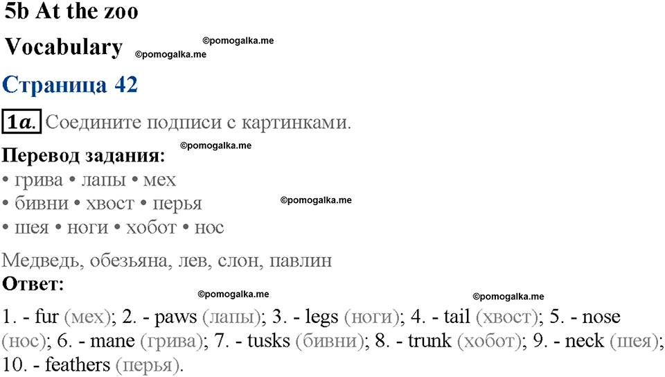Module 5. Страница 42. 5b. At the zoo. Задание №1a — решение 1