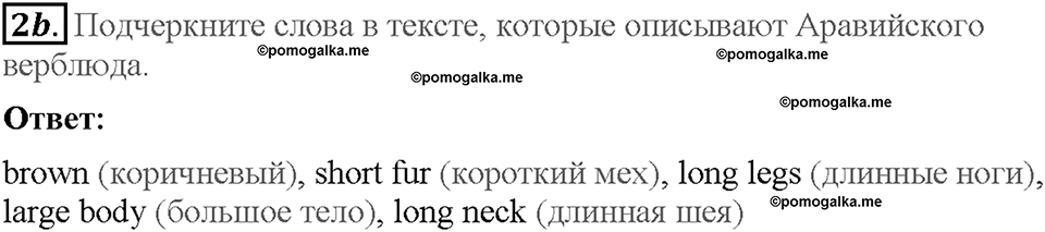 Module 5. Страница 44. 5d. Writing. Задание №2b — решение 1