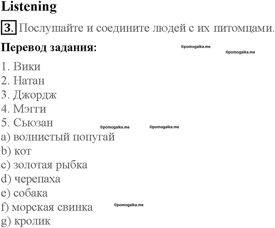 Module 5. Страница 43. 5c. My pet. Задание №3 — решение 1