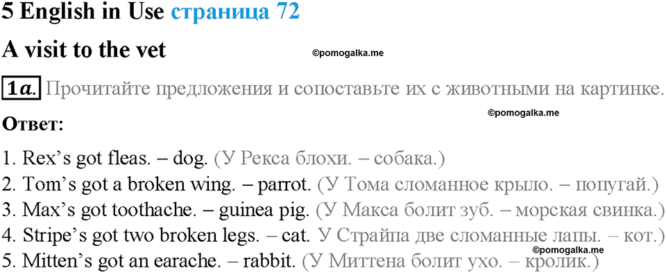 Module 5. World animals. Страница 72. 5 English in Use. Задание №1a — решение 1