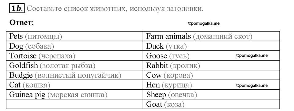 Module 5. World animals. Страница 70. 5c. My pet. Задание №1b — решение 1