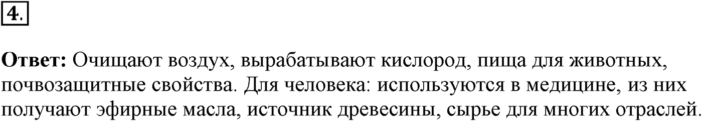 Глава 2. Многообразие организмов. Урок 23. Голосеменные растения. Страницы 66-67. Вопрос №4 — решение 1