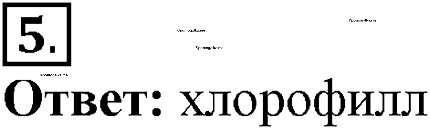 Глава 2. Многообразие организмов. Урок 19. Характеристика царства Растения. Страницы 57-59. Вопрос №5 — решение 1