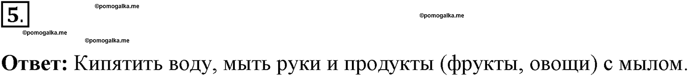 Глава 2. Многообразие организмов. Урок 26. Подцарство Одноклеточные. Страницы 74-75. Вопрос №5 — решение 1