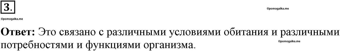 Глава 1. Клетка - основа строения и жизнедеятельности организмов. Урок 9. Строение клетки. Страницы 30-32. Вопрос №3 — решение 1