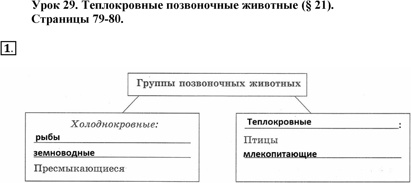 Глава 2. Многообразие организмов. Урок 29. Теплокровные позвоночные животные . Страницы 79-80. Вопрос №1 — решение 1