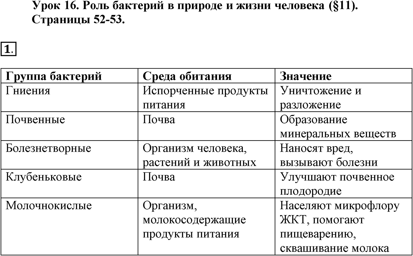 Глава 2. Многообразие организмов. Урок 16. Роль бактерий в природе и жизни человека. Страницы 52-53. Вопрос №1 — решение 1