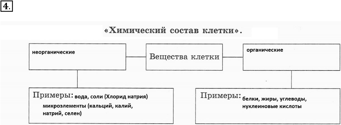 Глава 1. Клетка - основа строения и жизнедеятельности организмов. Урок 7. Химический состав клетки. Неорганические вещества. Страницы 26-27. Вопрос №4 — решение 1