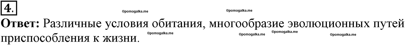 Глава 2. Многообразие организмов. Урок 26. Подцарство Одноклеточные. Страницы 74-75. Вопрос №4 — решение 1