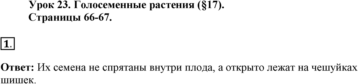 Глава 2. Многообразие организмов. Урок 23. Голосеменные растения. Страницы 66-67. Вопрос №1 — решение 1
