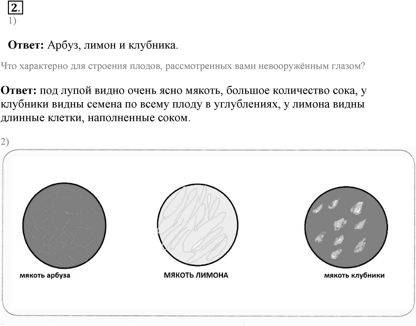 Глава 1. Клетка - основа строения и жизнедеятельности организмов. Урок 6. Увеличительные приборы. Страницы 24-26. Вопрос №2 — решение 1