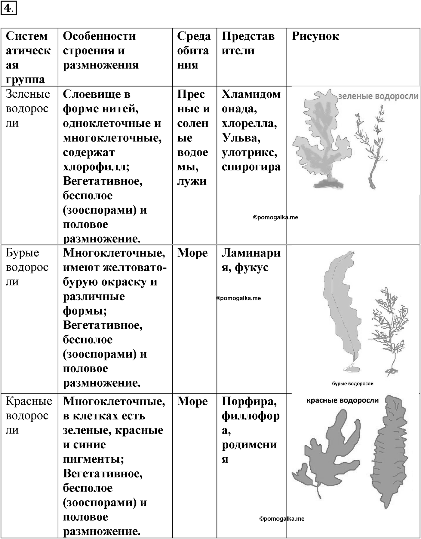 Глава 2. Многообразие организмов. Урок 20. Водоросли. Страницы 60-61. Вопрос №4 — решение 1