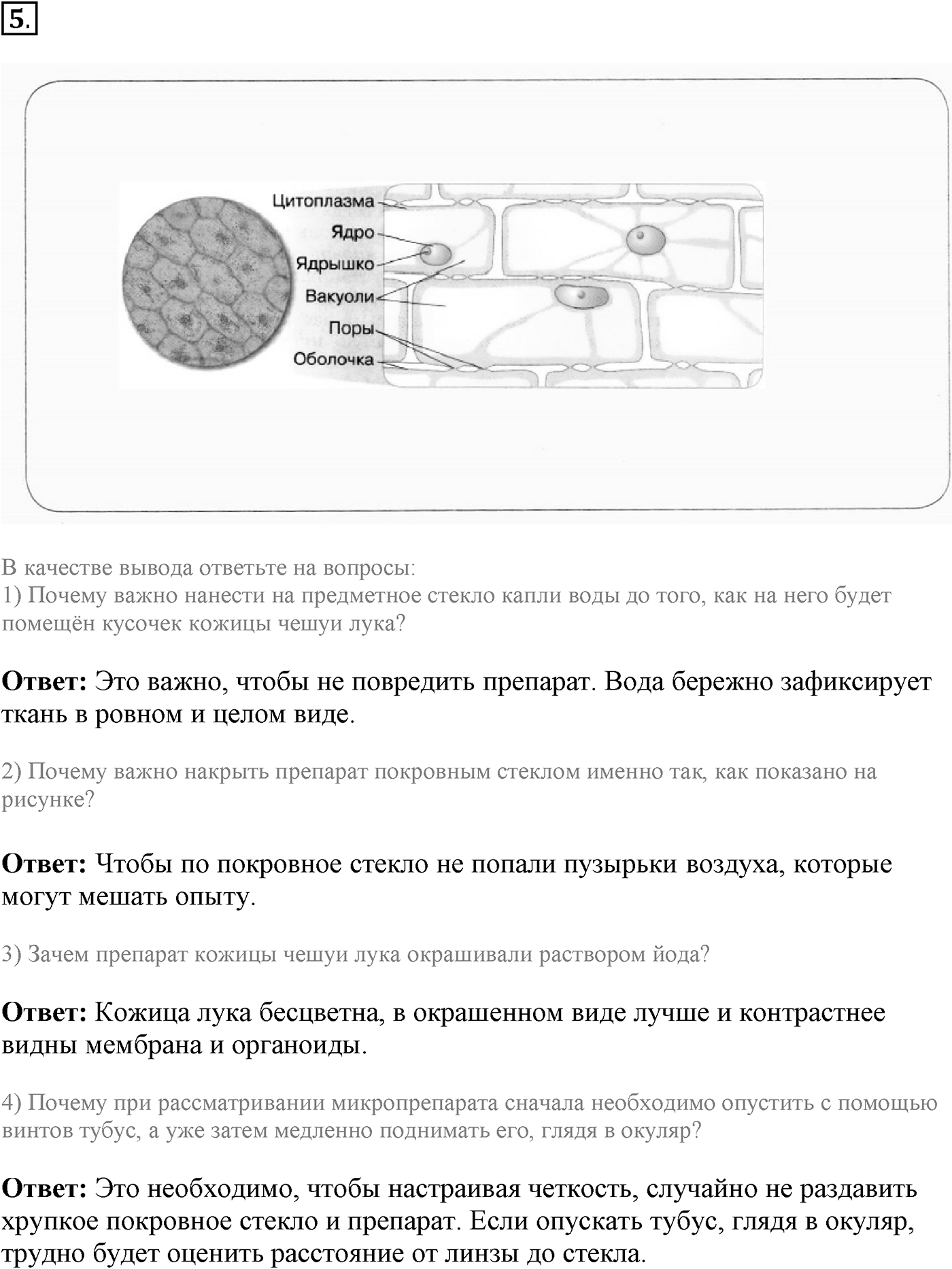 Глава 1. Клетка - основа строения и жизнедеятельности организмов. Урок 9. Строение клетки. Страницы 30-32. Вопрос №5 — решение 1