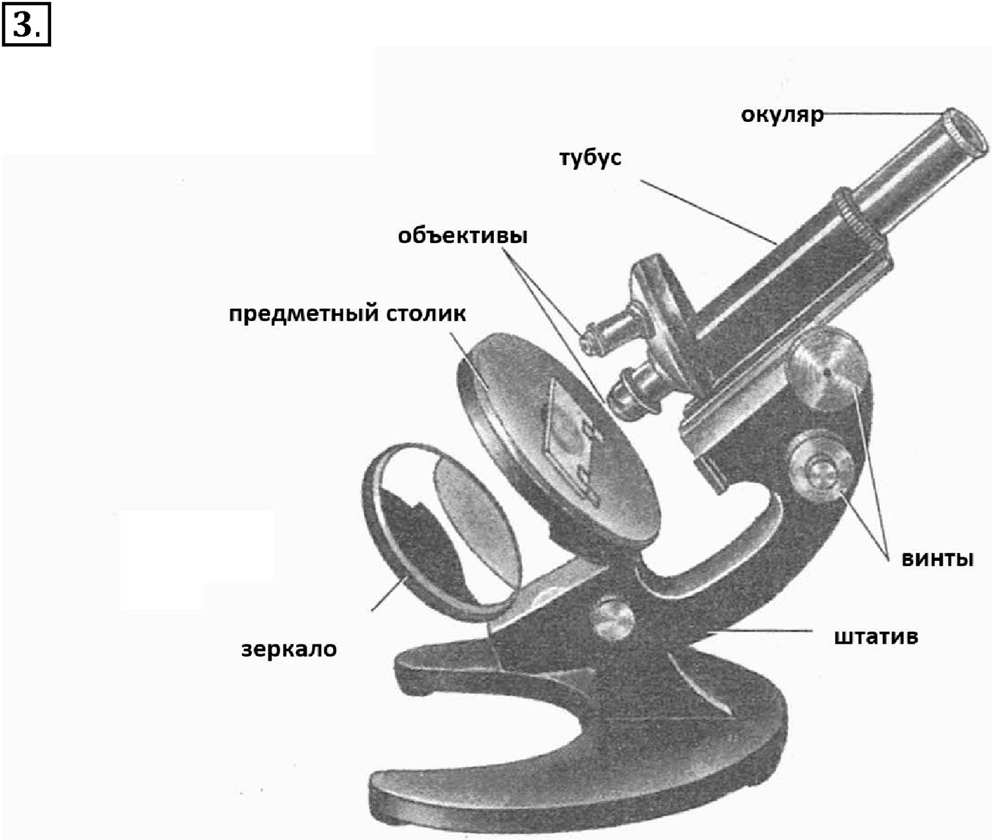 Глава 1. Клетка - основа строения и жизнедеятельности организмов. Урок 6. Увеличительные приборы. Страницы 24-26. Вопрос №3 — решение 1