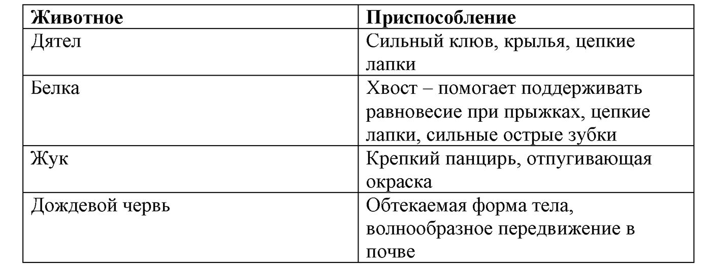 Введение. Биология как наука. Урок 5. Экскурсия "Разнообразие живых организмов. Осенние явления в жизни растений и животных". Страницы 14-17. Отчёт — решение 3