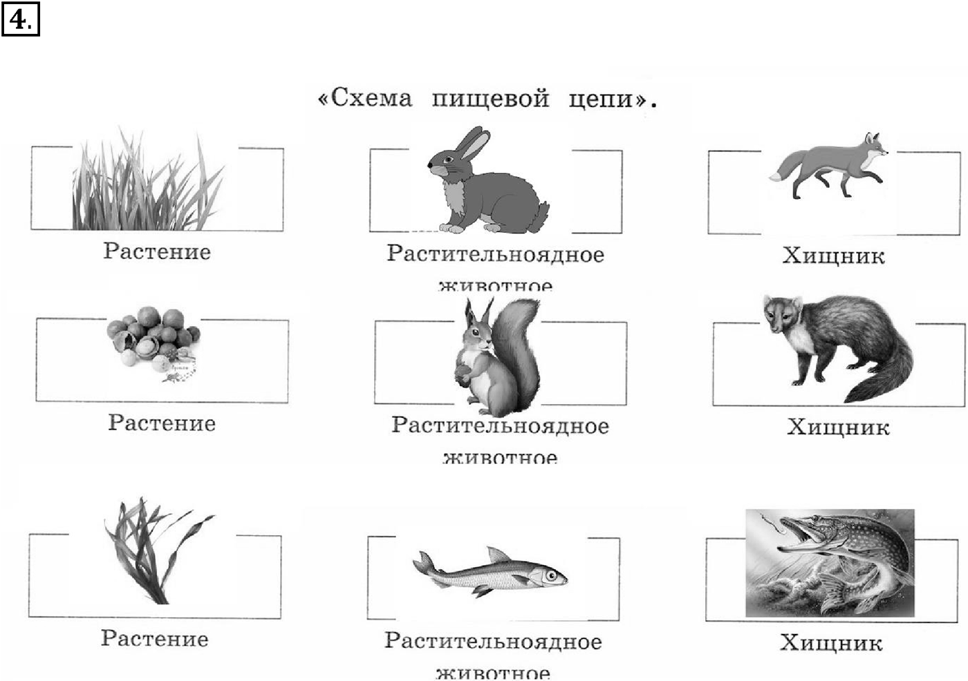 Введение. Биология как наука. Урок 1. Биология - наука о живой природе. Страницы 4-6. Вопрос №4 — решение 1