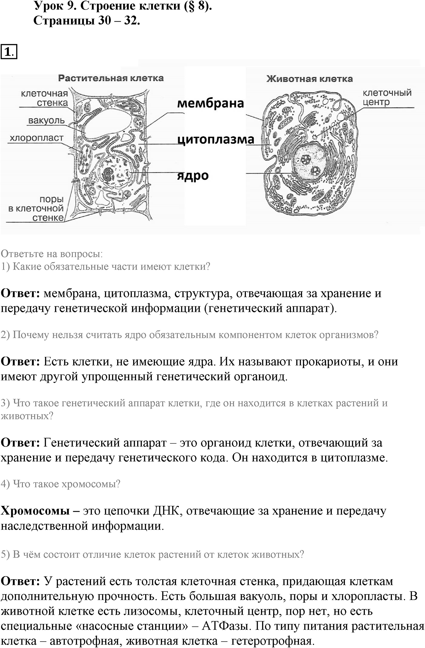 Глава 1. Клетка - основа строения и жизнедеятельности организмов. Урок 9. Строение клетки. Страницы 30-32. Вопрос №1 — решение 1