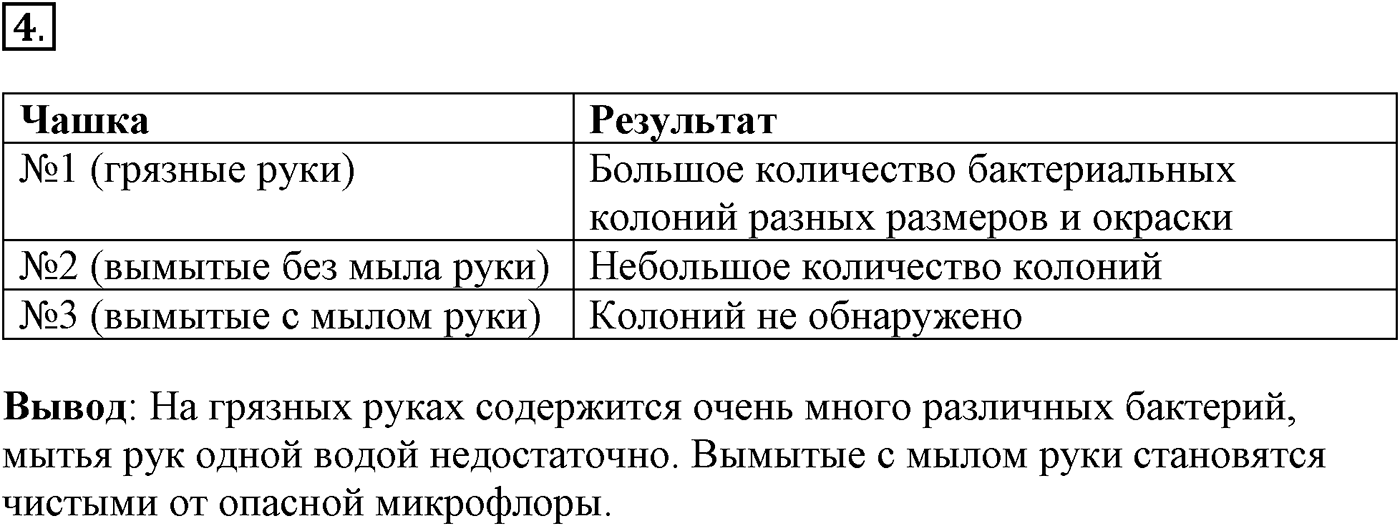 Глава 2. Многообразие организмов. Урок 16. Роль бактерий в природе и жизни человека. Страницы 52-53. Вопрос №4 — решение 1