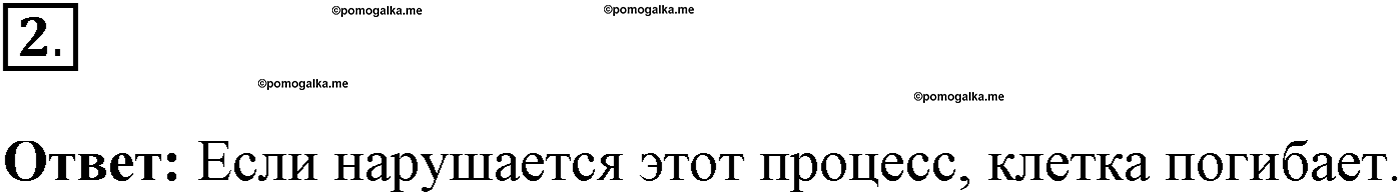 Глава 1. Клетка - основа строения и жизнедеятельности организмов. Урок 11. Процессы жизнедеятельности в клетке. Страницы 35-37. Вопрос №2 — решение 1