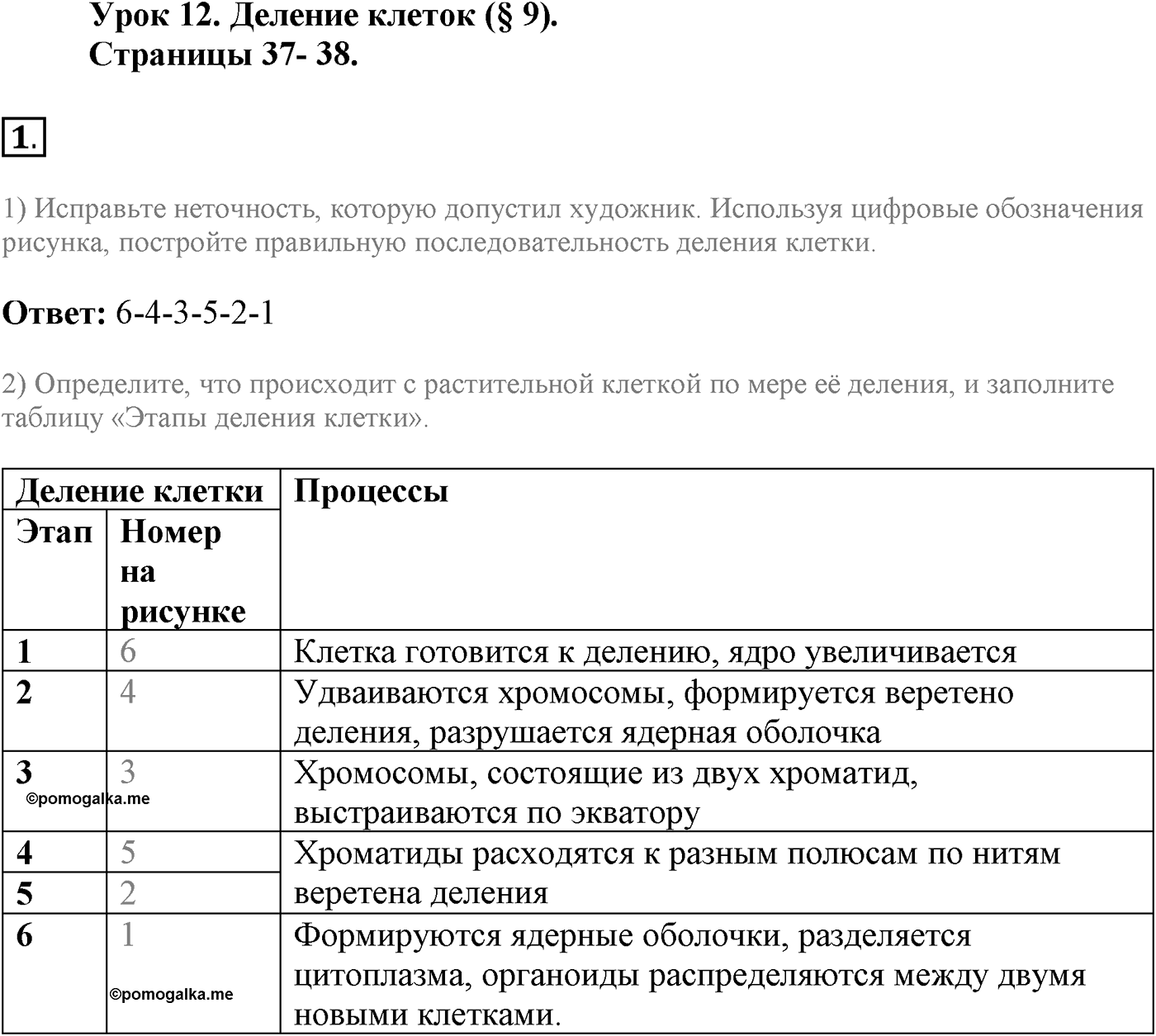 Глава 1. Клетка - основа строения и жизнедеятельности организмов. Урок 12. Деление клеток. Страницы 37-38. Вопрос №1 — решение 1
