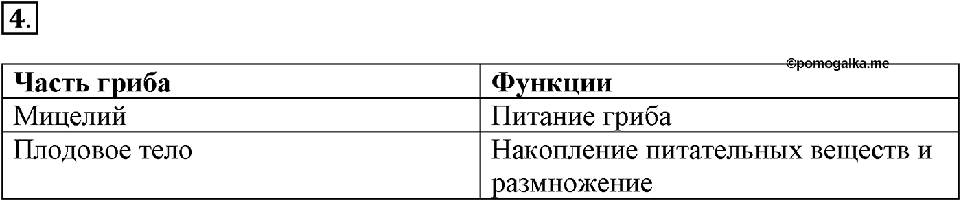 Глава 2. Многообразие организмов. Урок 17. Строение грибов. Грибы съедобные и ядовитые. Страницы 53-55. Вопрос №4 — решение 1