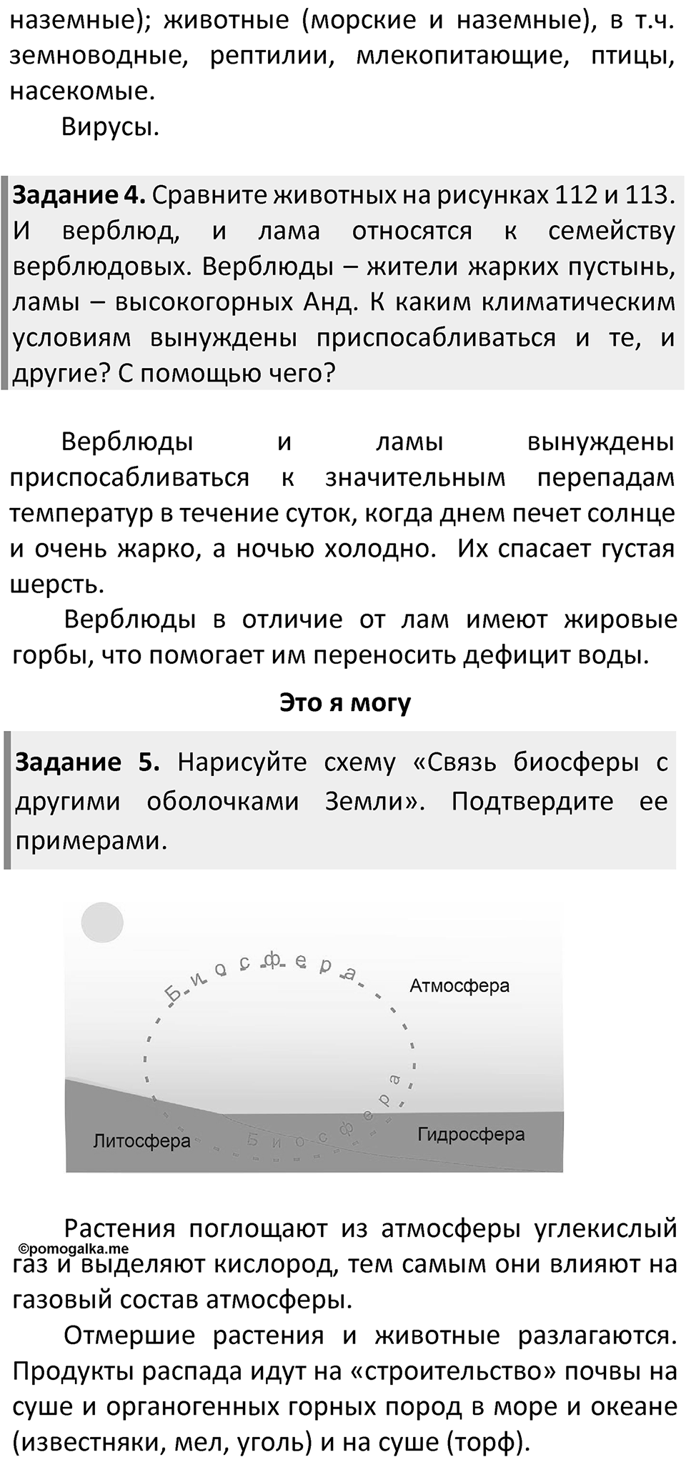 Страница 162 — решение 2