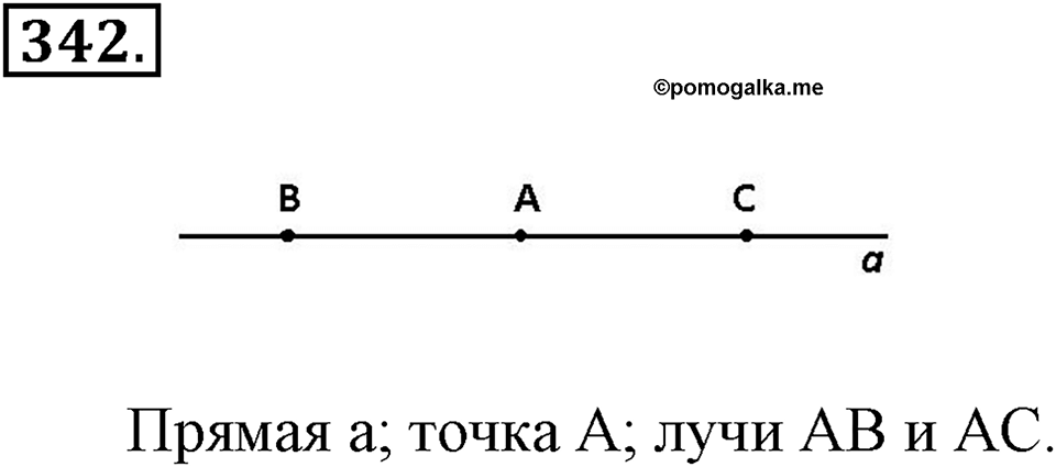 Измерение величин. §2.1. Прямая. Луч. Отрезок. Номер №342 — решение 1